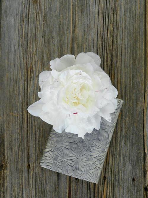 Wholesale Festiva White Peonies Delivered Online FlowerFarm